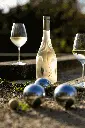 DRY_DRINQS_NOOH_NEALKOHOLINIS_BALTAS_VYNAS.webp