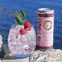 DRY_DRINQS_SEA_ARCHR_ROSE_SEA&T_NEALKOHOLINIS_KOKTEILIS_.webp