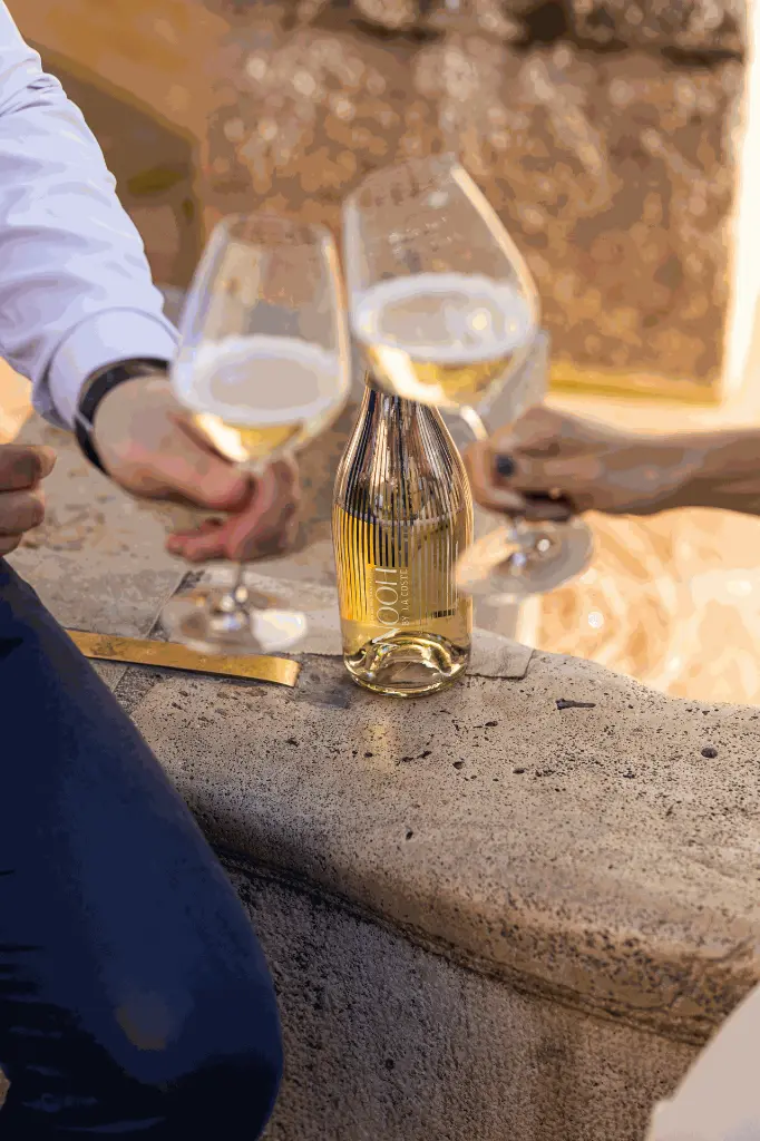 DRY_DRINQS_NOOH_NEALKOHOLINIS_BALTAS_PUTOJANTIS_VYNAS.webp