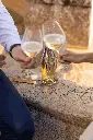 DRY_DRINQS_NOOH_NEALKOHOLINIS_BALTAS_PUTOJANTIS_VYNAS.webp