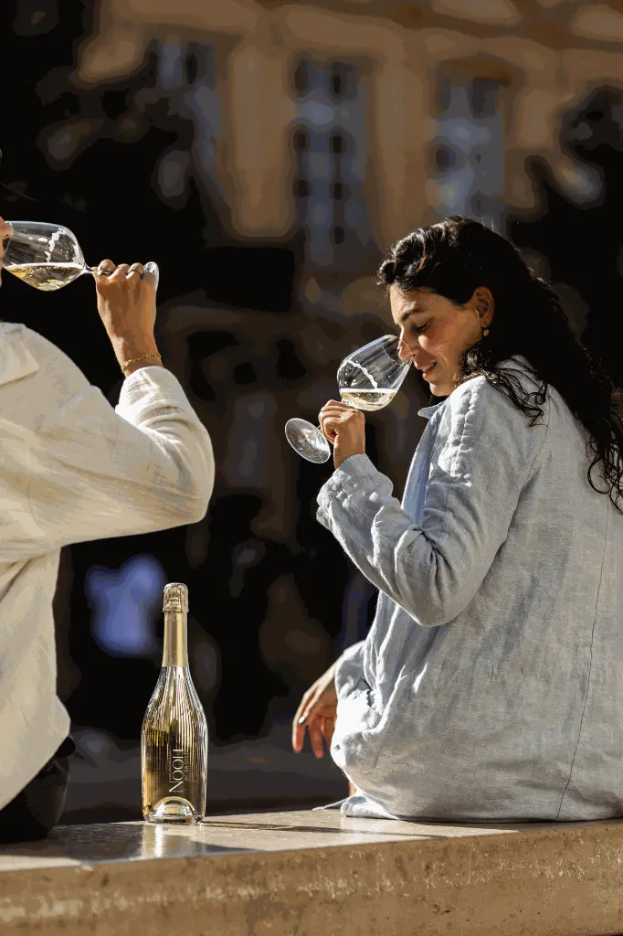 DRY_DRINQS_NOOH_NEALKOHOLINIS_BALTAS_PUTOJANTIS_VYNAS_2jpg.webp