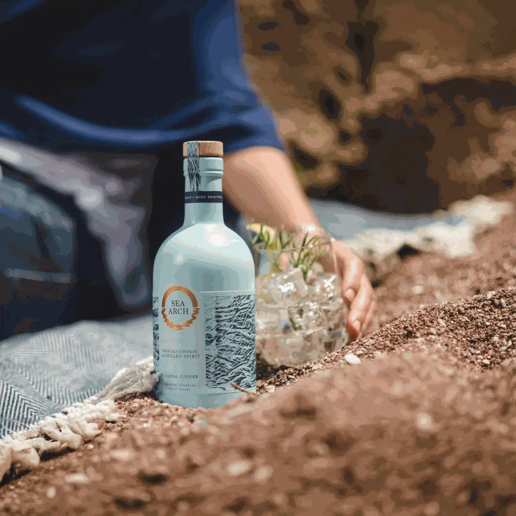 DRY_DRINQS_NON_ALCOHOL_GIN.webp